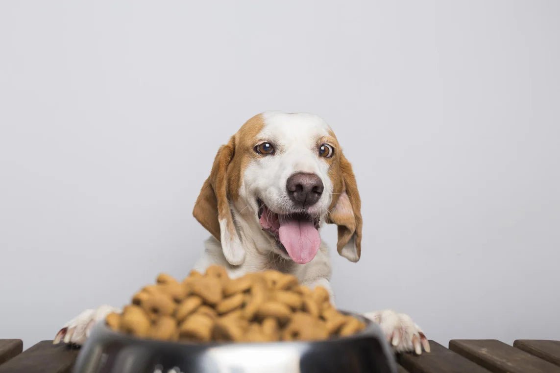 Dixie Dawgs Gourmet Delites