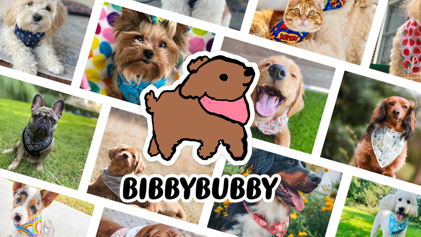 BibbyBuddy