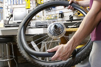 Tires & Tubes