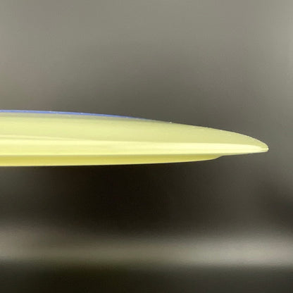 Proto Glow Champion Tern