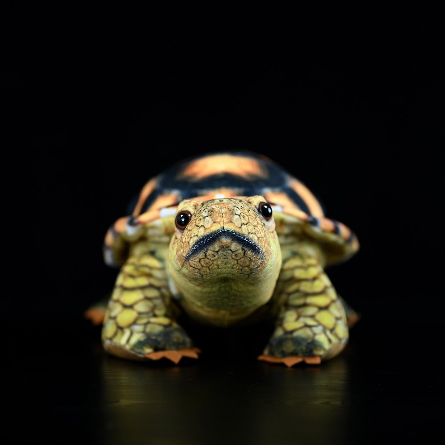 Mediterranean Tortoise Plush
