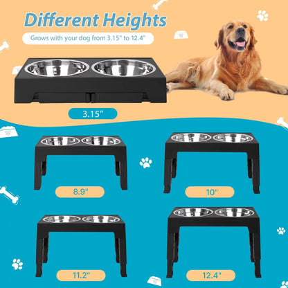Top 10 Elevated Dog Bowl Stands with Stainless Steel Dishes