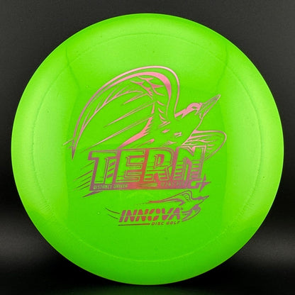 GStar Tern