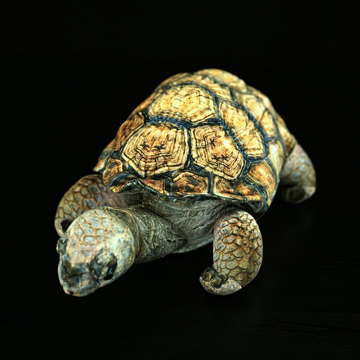 African Tortoise Plush