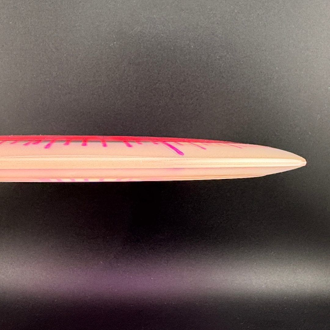 I-Dye Champion Roadrunner