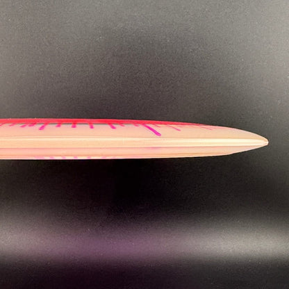 I-Dye Champion Roadrunner