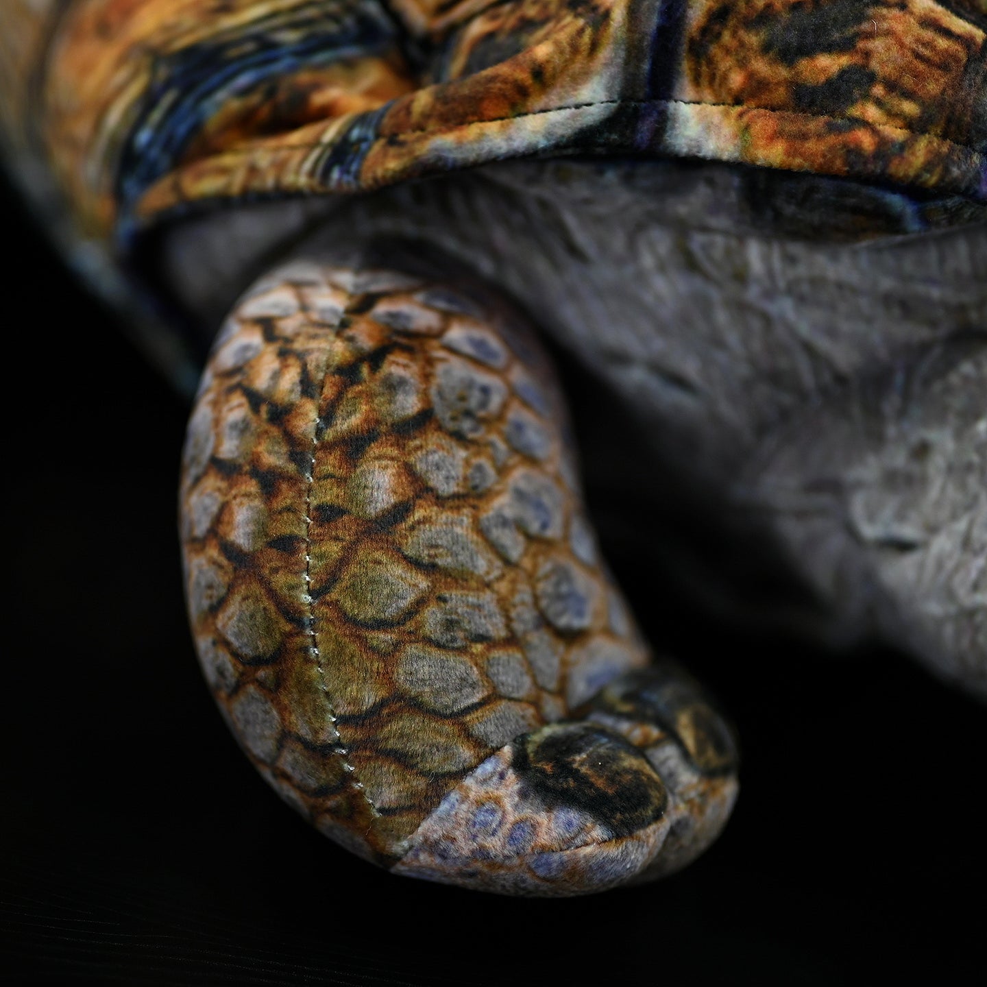 African Tortoise Plush