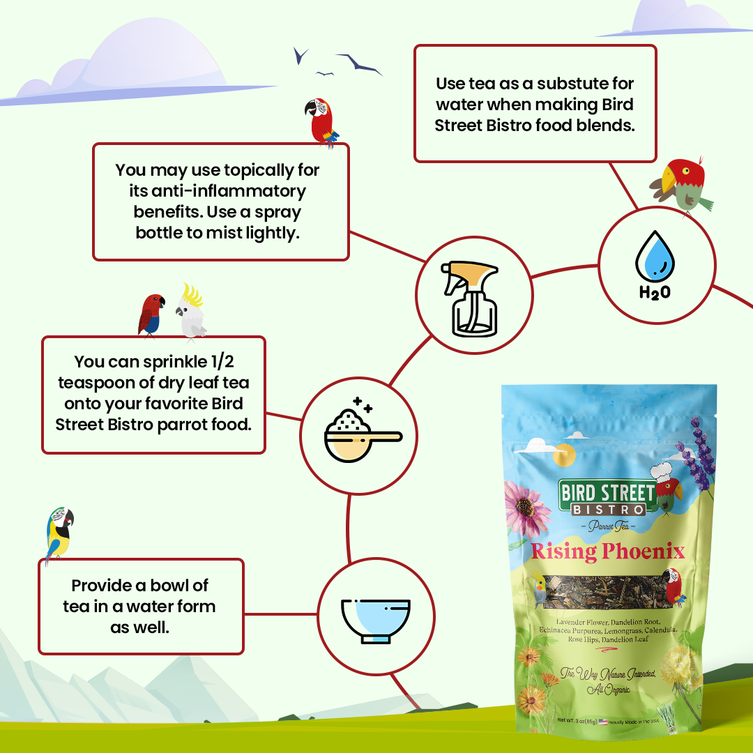 Parrot Food & Tea Starter Pack - Triathlete Store