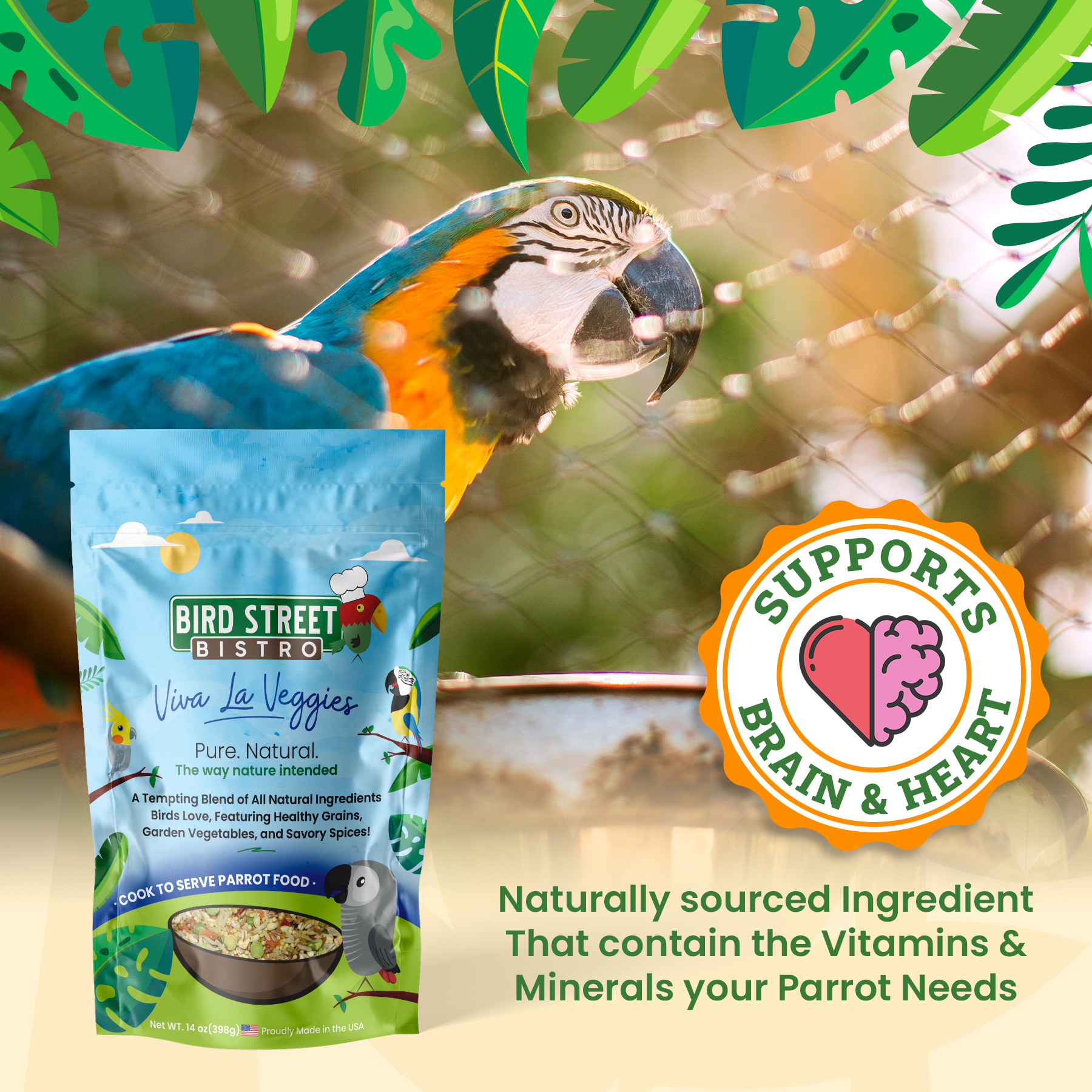 Viva La Veggies - Triathlete Store