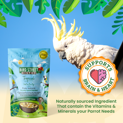 Parrot Food Variety Pack