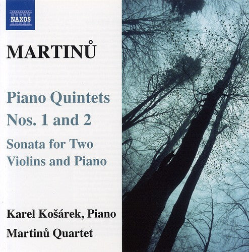 Karel Kosárek - Piano Quartets 1 & 2 Music CD