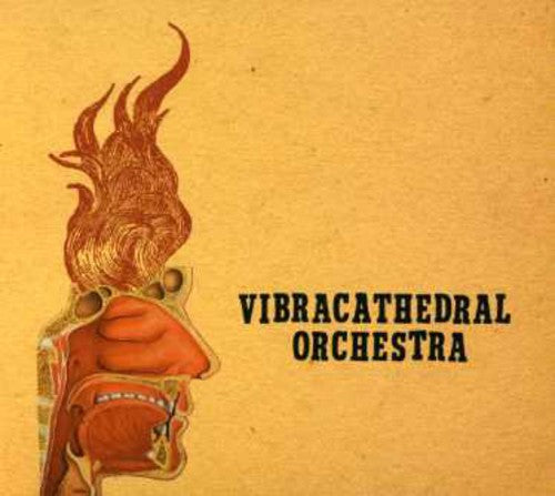 Vibracathedral Orchestra - Wisdom Thunderbolt [CD]