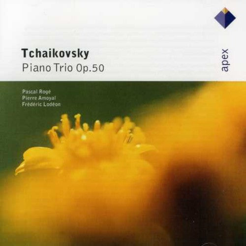 Tchaikovsky / Roga/ Amoyal / Lodeon - Tchaikovsky: Pno Trio Op 50 - Music CD