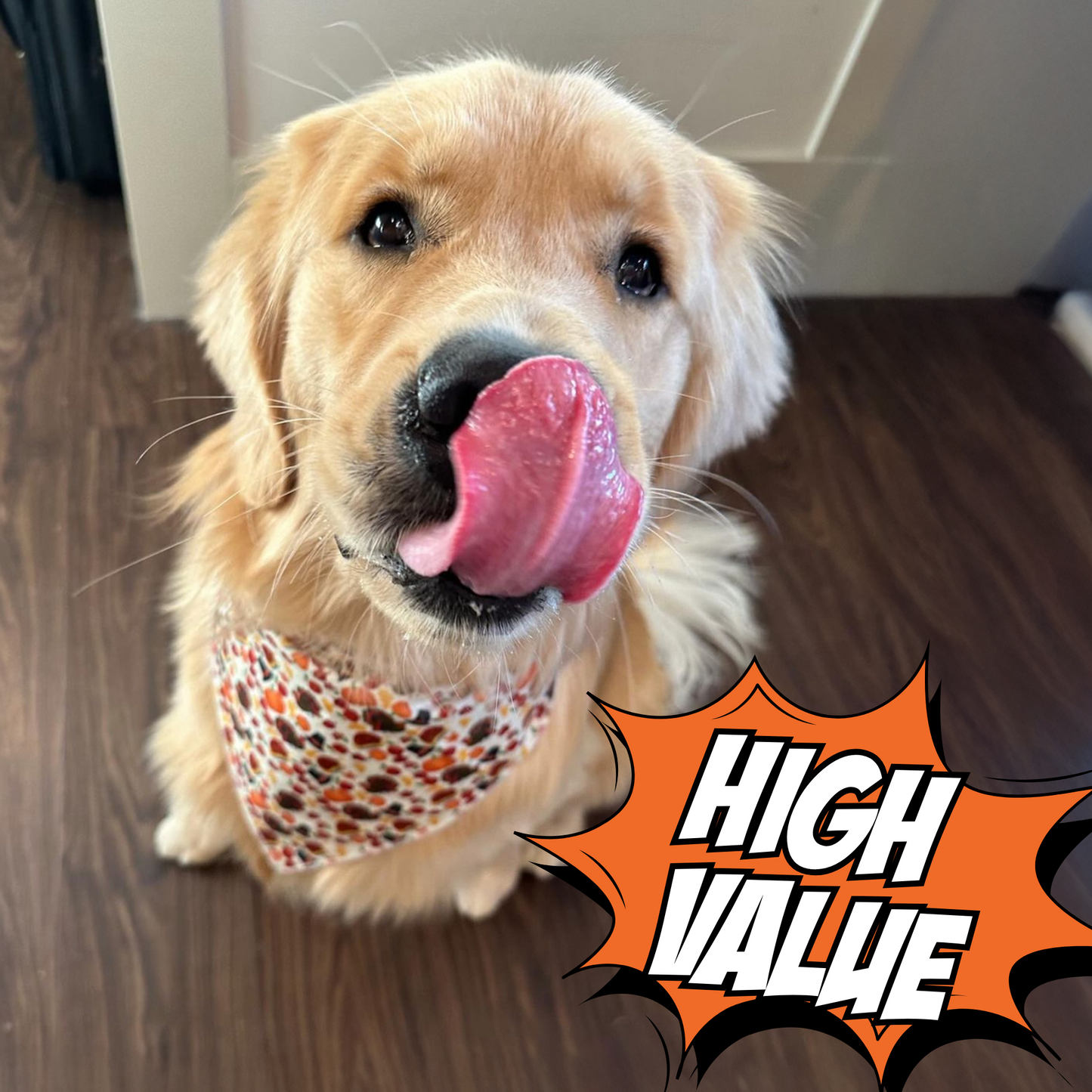 Cricket & Sweet Potato Jerky Dog Treats, 4-Pack