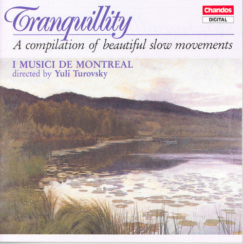 Yuli Turovsky - Tranquility / Various Music CD