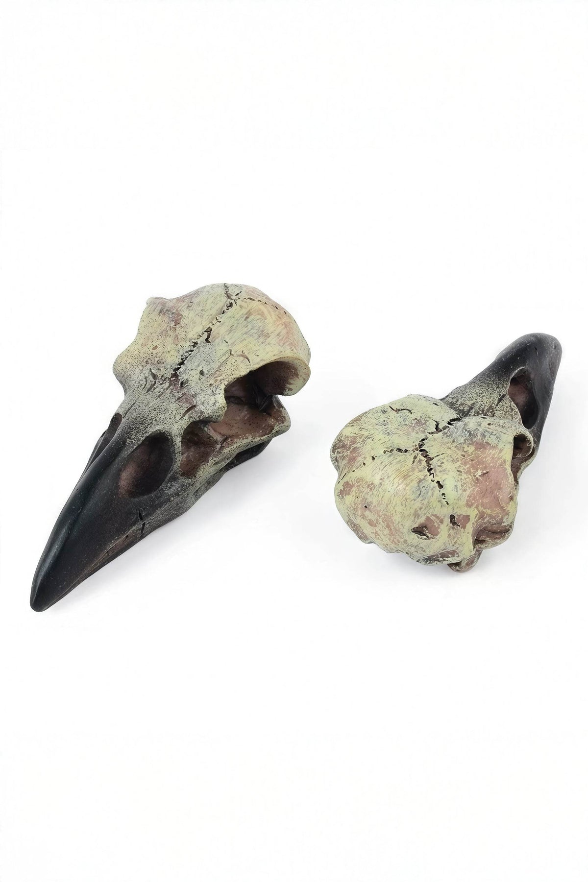 Gothic Raven Skull Pendant Necklace