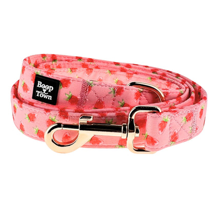 Boop Town 5ft Soft Cotton Dog Leashes with Metal Hardware