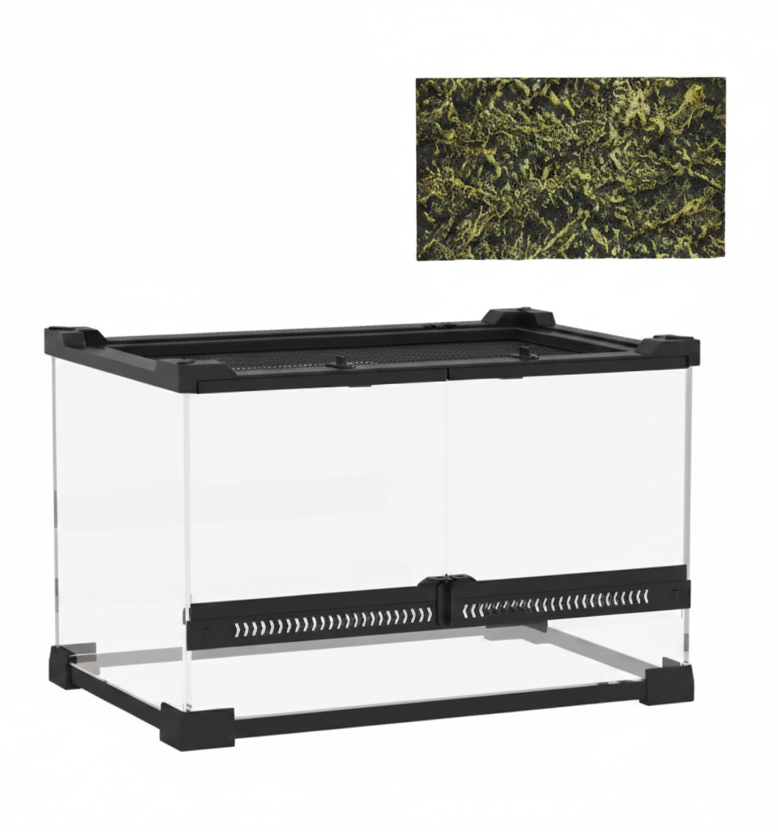 10L (2.6 Gallon) Glass Vivarium with Rock Background