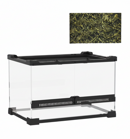 10L (2.6 Gallon) Glass Vivarium with Rock Background
