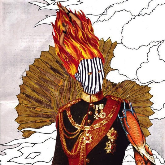 Subtle - For Hero for Fool [CD]