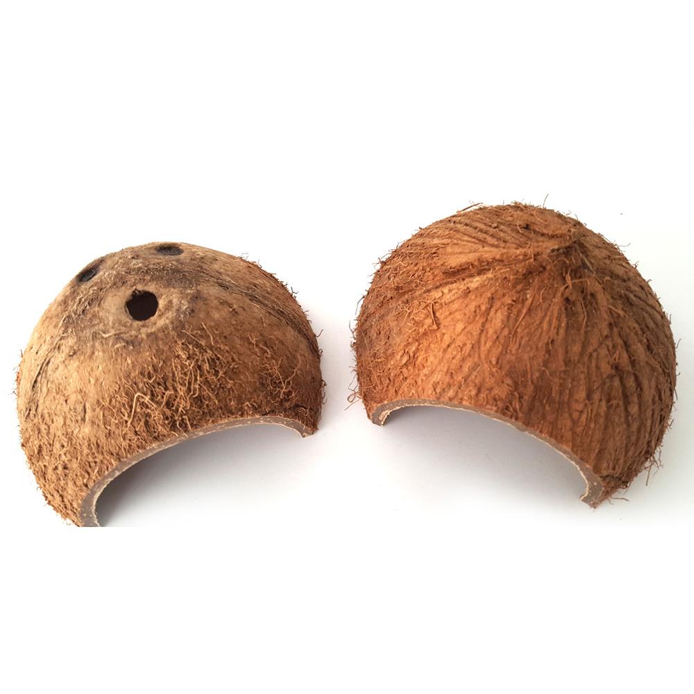 Natural Coconut Shell Reptile Hideout (2-Pack)
