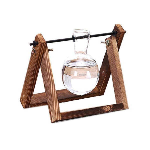 Desktop Vintage Plant Terrarium & Propagation Station