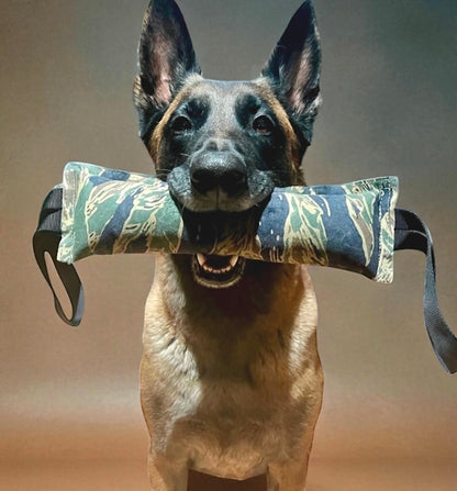 K9R - Kiloniner TUG-N-TRAIN Tug Toy