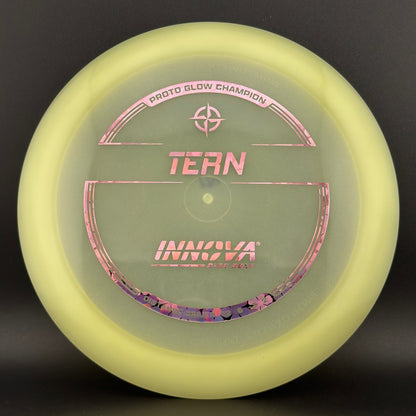 Proto Glow Champion Tern