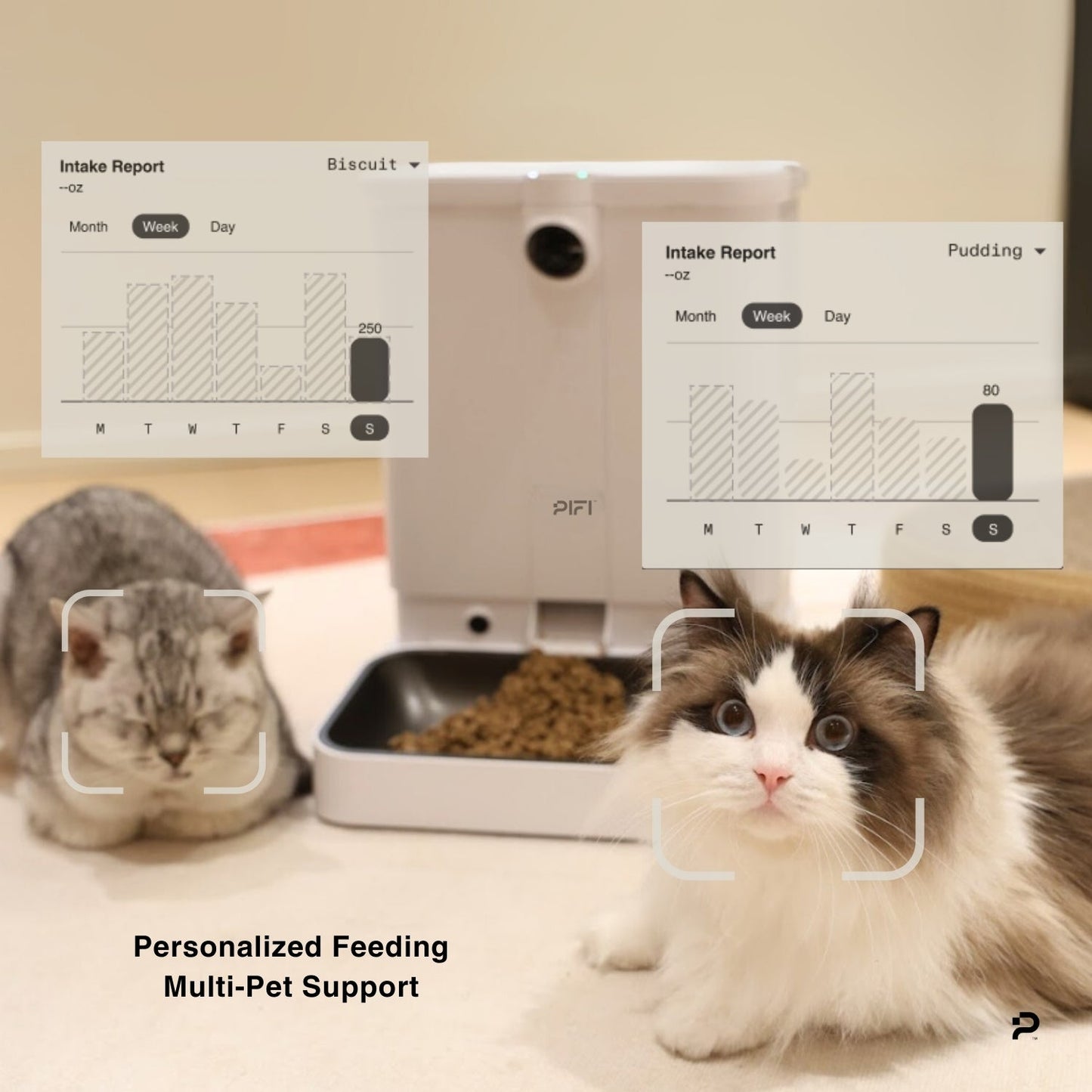 All-in-One Smart Pet Feeder