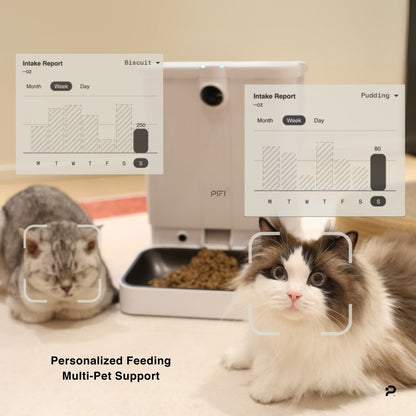 All-in-One Smart Pet Feeder
