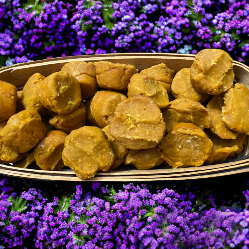 🐶 New Pup Welcome Bundle