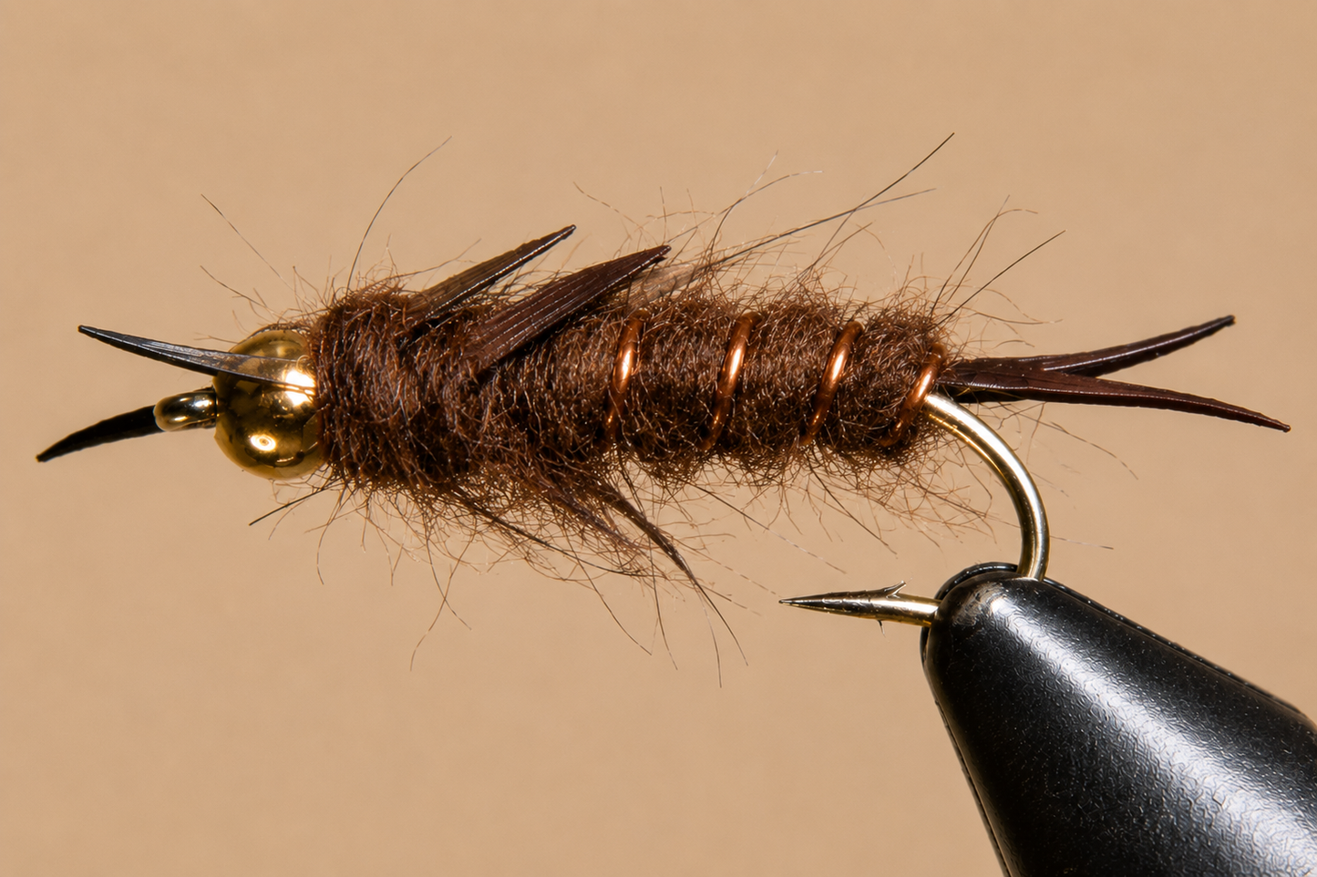 Giant Kaufmann Stonefly Nymphs