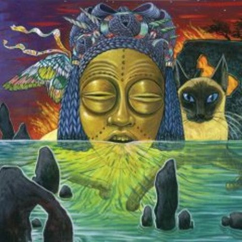 Valet - Naked Acid Music CD