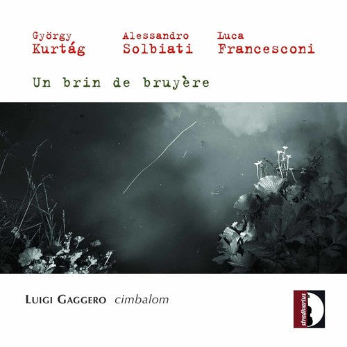 Luigi Gaggero - Music for Cimbalom Music CD