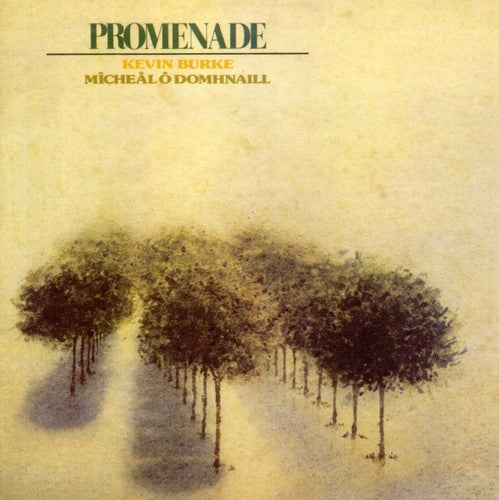Burke,kevin / O'domhnaill,micheal - Promenade - Music CD