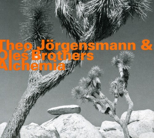 Theo JÃ¶rgensmann - Alchemia [CD]