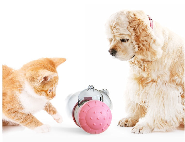 Interactive Pet Treat Dispenser Toy