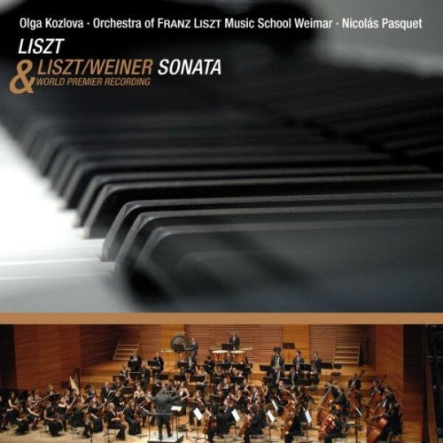F. LISZT - Sonata in B minor [CD]