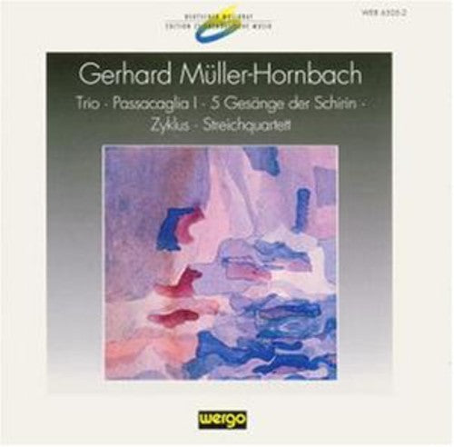 Muller-Hornbach Trio - Passacaglia I / Various - Muller-hornbach: Trio - Passacaglia I / Various Music CD