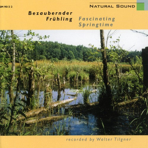 Tilgner - Fascinating Springtime [CD]