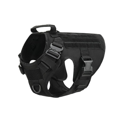 Military Tactical Dog