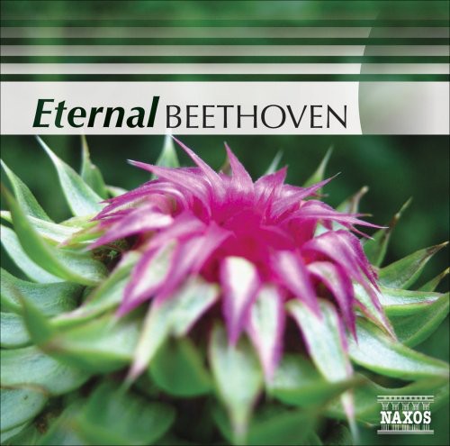 Eternal Beethoven / Various - Eternal Beethoven / Various [CD]