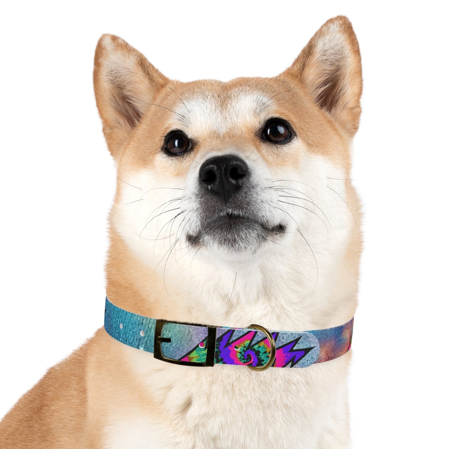 Bolt Dog Collar