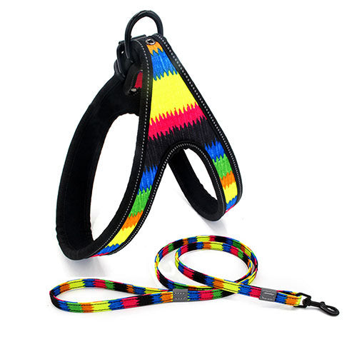 Night-Safe Dog Harness & Leash Set