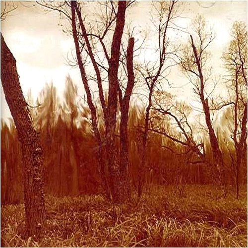 Northwoods Improvisers - Branches [CD]
