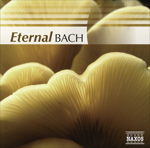 Eternal Bach / Various - Eternal Bach / Various [CD]