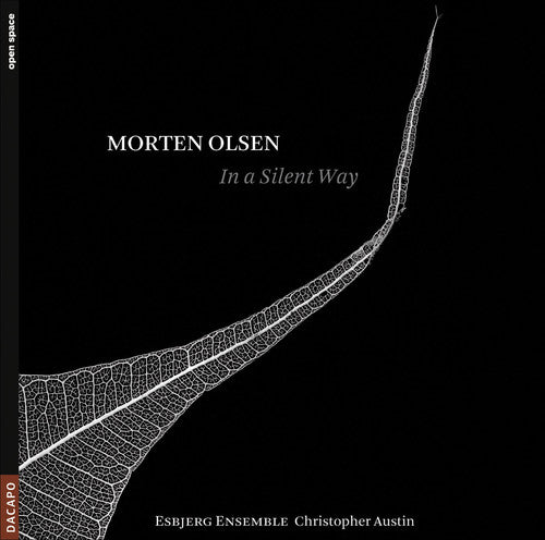 Christopher Austin - In a Silent Way Music CD
