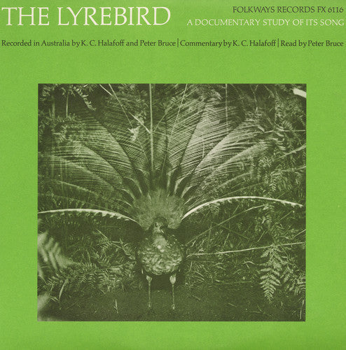 P Bruce - The Lyrebird: A Documentary Study of It's Song [CD]