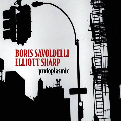 Boris Savoldelli & Elliott Sharp - Protoplasmic Music CD