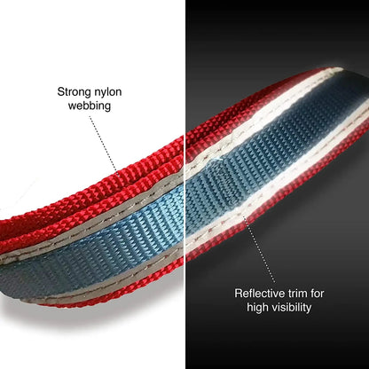 6 in 1 Hands Free Dog Leash | Reflective Running Belt Leash for Dogs | Crossbody & Waist Belt Leash | Carabiner Clip | Padded Handle for Training, Hiking or Jogging | Quantum Leash | 6 Colors